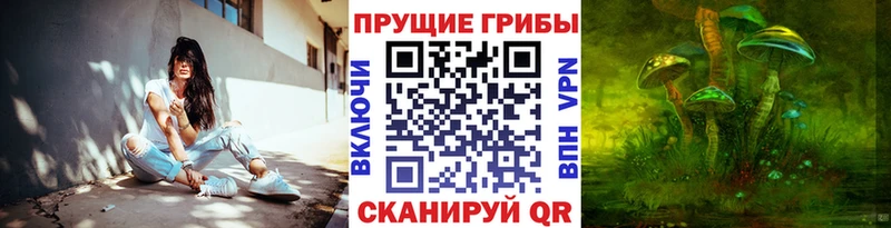 Купить  Нытва  Галлюциногенные грибы Psilocybine cubensis 